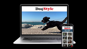 DOG·STYLE magazine❤️ è la nuovissima rivista dedicata a cani e gatti !